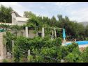 Ferienhaus Ivo - house with pool: H(4+1) Bol - Insel Brac  - Kroatien - Garten