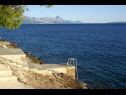 Ferienwohnungen und Zimmer Ref - 20 m from sea : 1 - A1(4+1), 2 - A2(2+1), 3 - R1(2), 4 - R2(2) Bucht Puntinak (Selca) - Insel Brac  - Kroatien - Strand