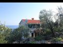 Ferienwohnungen Iva - with nice view: A1(2+2) Molunat - Riviera Dubrovnik  - Haus