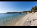 Ferienwohnungen Marija - 50m close to the beach: A1(2+2), SA2(2+1) Zaton (Dubrovnik) - Riviera Dubrovnik  - Strand