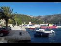 Ferienwohnungen Marija - 50m close to the beach: A1(2+2), SA2(2+1) Zaton (Dubrovnik) - Riviera Dubrovnik  - Detail (Objekt und Umgebung)