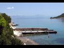 Ferienwohnungen Sea View - 7 m from beach: A1(5+1) Bucht Zarace (Gdinj) - Insel Hvar  - Kroatien - Detail