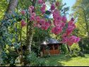 Ferienhaus Riverside house - beautiful nature: H(6) Zumberak - Kontinental Kroatien - Kroatien - Blumen