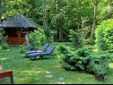 Ferienhaus Riverside house - beautiful nature: H(6) Zumberak - Kontinental Kroatien - Kroatien - Vegetation