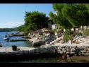 Ferienwohnungen Mari - amazing sea view: A1(4), A2(4) Bucht Karbuni (Blato) - Insel Korcula  - Kroatien - Strand