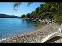 Ferienhaus Senka1 - pure nature & serenity: H(2) Bucht Tudorovica (Vela Luka) - Insel Korcula  - Kroatien - Strand