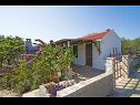 Ferienhaus Senka1 - pure nature & serenity: H(2) Bucht Tudorovica (Vela Luka) - Insel Korcula  - Kroatien - Haus