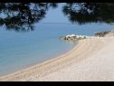 Ferienwohnungen Lovre - close to the sea : A1(6), A2(4+1) prizemlje, A3(5) Brela - Riviera Makarska  - Strand