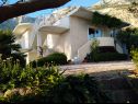 Ferienwohnungen Viki - seaview & garden terrace: A1(6) Makarska - Riviera Makarska  - Haus