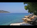 Ferienwohnungen Primo - sea view: A1(2+1), A2(4), A3(4), A4(3+1) Bucht Banje (Rogac) - Insel Solta  - Kroatien - Strand