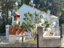 Ferienhaus VEKY - 50m from sea: Holiday House H(4+2) Susica - Insel Ugljan  - Kroatien - Haus