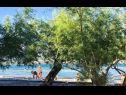 Ferienwohnungen Niko - 40m from the beach: A1(2+2), A2(3+2), A3(4+2) Donji Karin - Riviera Zadar  - Strand
