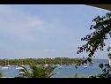 Ferienwohnungen Davor - 20m from sea : A1(2+2), A2(2+2), A3(6) Mali Iz (Insel Iz) - Riviera Zadar  - Aussicht
