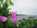 Ferienwohnungen Davor - 20m from sea : A1(2+2), A2(2+2), A3(6) Mali Iz (Insel Iz) - Riviera Zadar  - Aussicht