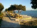 Ferienwohnungen Mis - apartments close to sea: A1(4), A2(4) Petrcane - Riviera Zadar  - Strand