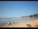 Ferienwohnungen Dobri - 500 m from beach: A5(2), A4(2+2), A3(2+2), A2(2+2), A6(2+1) Sabunike - Riviera Zadar  - Strand