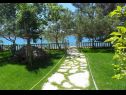 Ferienwohnungen Ivan Z - 10 m from sea: A3(2), A4(2) Seline - Riviera Zadar  - Garten