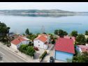 Ferienwohnungen Ivan Z - 10 m from sea: A3(2), A4(2) Seline - Riviera Zadar  - Vegetation (Objekt und Umgebung)