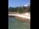 Ferienwohnungen und Zimmer Voyasi - 60 m from sea: A1(2), A2(2), A4(2), A6(2), A7(4), R5(2) Starigrad-Paklenica - Riviera Zadar  - Strand