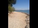 Ferienwohnungen und Zimmer Voyasi - 60 m from sea: A1(2), A2(2), A4(2), A6(2), A7(4), R5(2) Starigrad-Paklenica - Riviera Zadar  - Strand