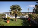 Ferienwohnungen Let - 5 m from sea : A1(4), A4(4) Sukosan - Riviera Zadar  - Garten