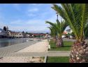 Ferienwohnungen Let - 5 m from sea : A1(4), A4(4) Sukosan - Riviera Zadar  - Detail