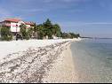 Ferienwohnungen Monika - 10m from sea: A8(4+2), A11(4+2), A16(4+2), A17(4+2), A12(2+2), A13(2+2), A20(2+2), A21(2+2), SA14(2+1), SA15(2+1), SA22(2+1), A23(2+1) Vir - Riviera Zadar  - Strand