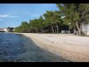 Ferienwohnungen Eddie - great location & comfor: A1(4), A2(4), A3(4), A4(4) Zadar - Riviera Zadar  - Strand