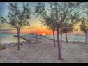 Ferienwohnungen Ljilja - 250 m from blue flag beach: A1(4+1) Zaton (Zadar) - Riviera Zadar  - Strand