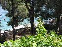 Ferienwohnungen Simi- peacefull and seaview A1(4+1) Bucht Osibova (Milna) - Insel Brac  - Kroatien - Meerblick (Objekt und Umgebung)