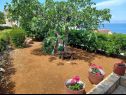 Ferienhaus Lumos - panoramic view & olive garden: H(10) Postira - Insel Brac  - Kroatien - Garten