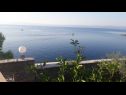 Ferienwohnungen und Zimmer Ref - 20 m from sea : 1 - A1(4+1), 2 - A2(2+1), 3 - R1(2), 4 - R2(2) Bucht Puntinak (Selca) - Insel Brac  - Kroatien - Aussicht