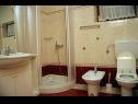 Ferienwohnungen DeMar - 70m from sea: A1-crveni(4), A2-zeleni(3), A3-plavi(3) Splitska - Insel Brac  - Ferienwohnung - A1-crveni(4): Badezimmer mit Toilette