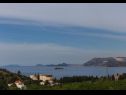 Ferienwohnungen Ante - with pool: A1(6+2), SA2(2), A3(2+2), SA4(2) Cavtat - Riviera Dubrovnik  - Vegetation