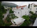 Ferienwohnungen und Zimmer Andri - 100m from sea: A1 Andrea(2+2), A2 Nika(2) Dubrovnik - Riviera Dubrovnik  - Haus