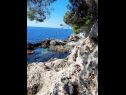 Ferienwohnungen Mira - comfy with garden : A1 Žuti (2+2), A2 Crveni (2+2) Dubrovnik - Riviera Dubrovnik  - Strand