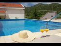 Ferienhaus Vedran - with beautiful lake view and private pool: H(7) Peracko Blato - Riviera Dubrovnik  - Kroatien - Pool