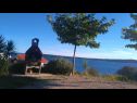 Ferienwohnungen Jela - terrace and sea view A1(4+2) Zavala - Insel Hvar  - Grill