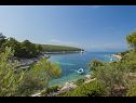 Ferienhaus Villa Bistrana - 15m from sea: H(4) Bucht Tankaraca (Vela Luka) - Insel Korcula  - Kroatien - Aussicht
