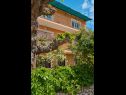 Ferienwohnungen Giuseppe - green terrace: A1(4) Mali Losinj - Insel Losinj  - Haus