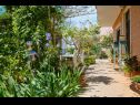 Ferienwohnungen Giuseppe - green terrace: A1(4) Mali Losinj - Insel Losinj  - Hof