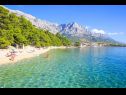 Ferienwohnungen Toni - 150m from pebble beach: A1 veliki (5) Baska Voda - Riviera Makarska  - Detail