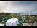 Ferienwohnungen Panorama - terrace with sea view: A1(4) Brela - Riviera Makarska  - Ferienwohnung - A1(4): Terasse
