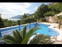 Ferienhaus Kris - quiet and romantic: H(8+2) Brela - Riviera Makarska  - Kroatien - Pool