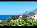 Ferienwohnungen Robert - sea view : A1(4+1), A2(4+2) Brela - Riviera Makarska  - Aussicht