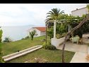 Ferienwohnungen Sea View - cosy & comfortable: A2 Zaborke(4), A4 Somina(2+2) Brist - Riviera Makarska  - Ferienwohnung - A2 Zaborke(4): Aussicht vom Terasse