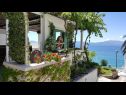 Ferienwohnungen Sea View - cosy & comfortable: A2 Zaborke(4), A4 Somina(2+2) Brist - Riviera Makarska  - Haus