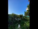 Ferienwohnungen Biljana - 150m from beach: A1(2+1), A2(2+2), A3(5), A4(2+2) Gradac - Riviera Makarska  - Garten