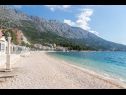 Ferienwohnungen Mira - economy: A1(2+2), SA2(2), SA3(2) Igrane - Riviera Makarska  - Strand