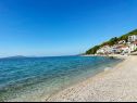 Ferienwohnungen Mira - 10 m from beach: SA3(2), SA4(2), A5(2+2) Zaostrog - Riviera Makarska  - Strand